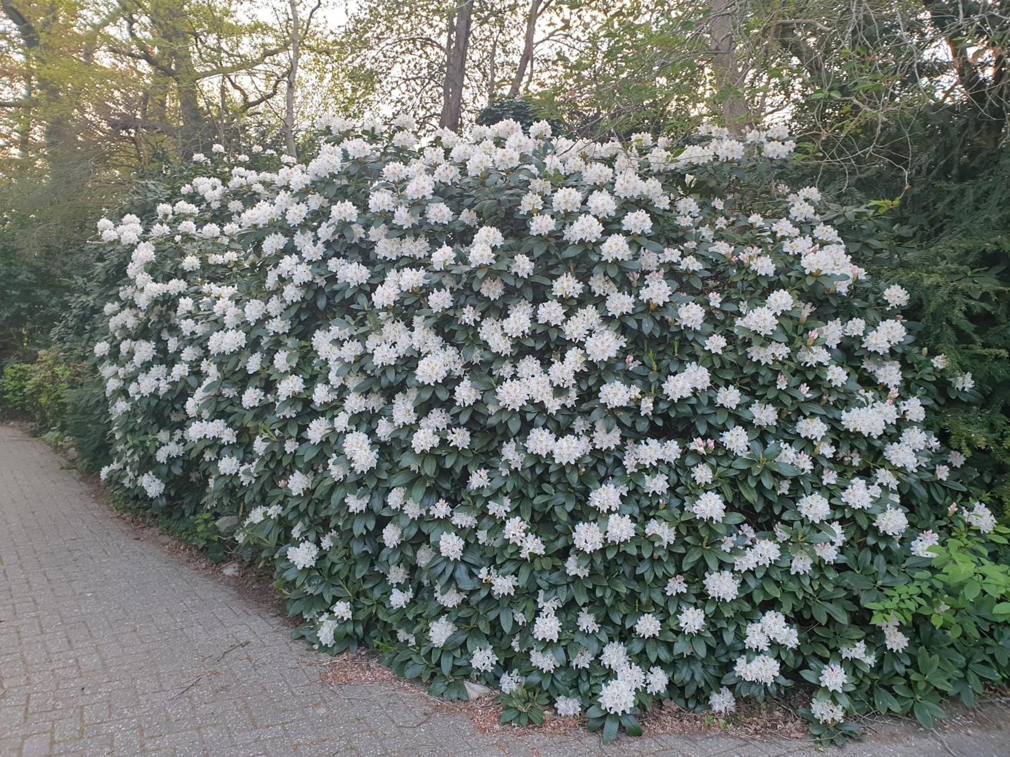 Ferienwohnung Morgensonne Westerstede Dış mekan fotoğraf